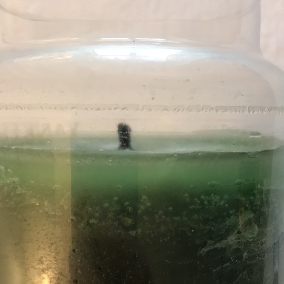 Discontinued Yankee Candle Greenhouse Scented Jar Candle 22 Oz Size - Picture 5 of 10